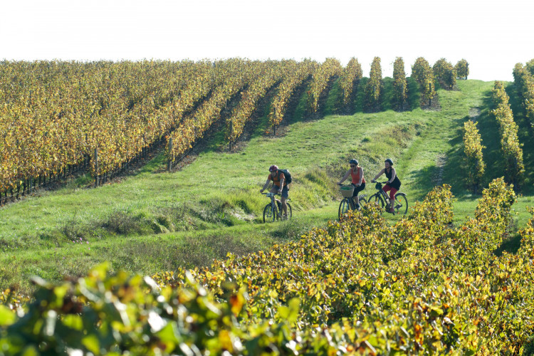 Crédits photo : Massif Sud Bourgogne