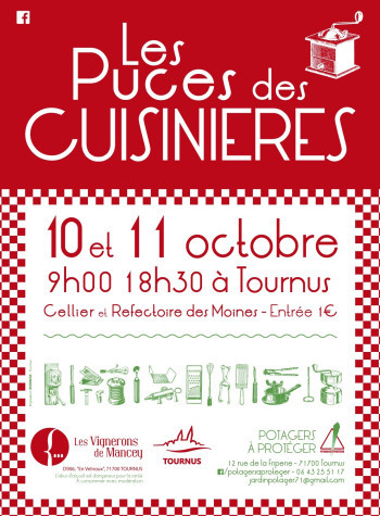 Puces des cuisinieres