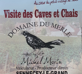 Portes Ouvertes - Domaine du Merle