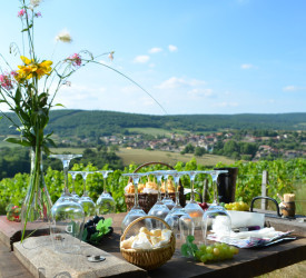 Dégustation dans les vignes