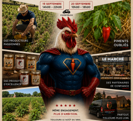 Saison 2