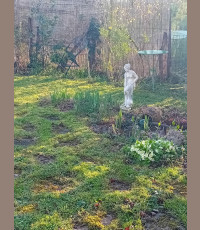 Rendez-vous aux jardins : L'Atelier du Roy