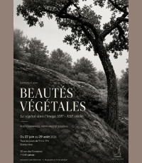  Exposition Beautés végétales