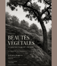  Exposition Beautés végétales