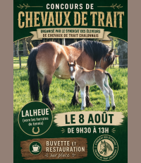 Concours de chevaux de trait 