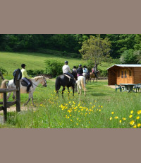 Stages et séjours ados, promenades à cheval et à poney