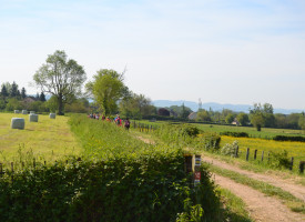 Chemins de la Jouvencelle