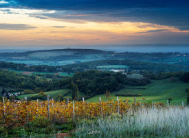 Chemin des Moines - De Sennecey-le-Grand à Martailly-lès-Brancion