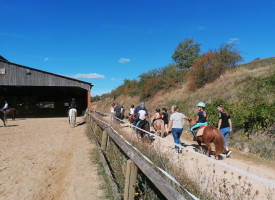 Promenades à cheval ou à poney, séjours ados