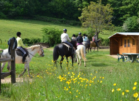 Stages et séjours ados, promenades à cheval et à poney