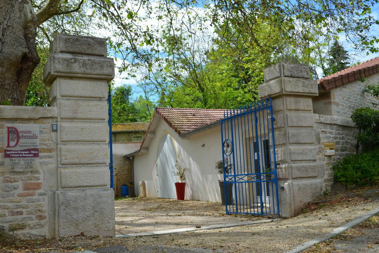 Crédits photo : Domaine Debreuille