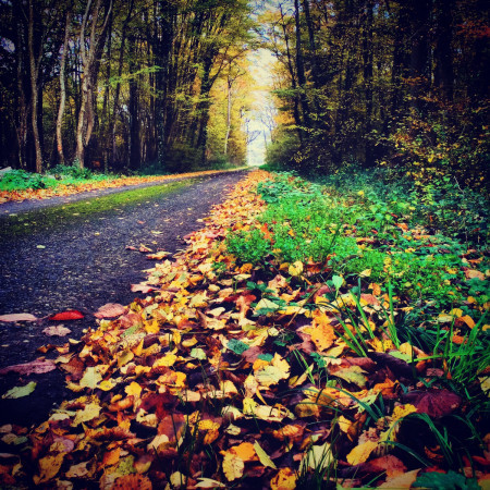Couleurs d'automne à pied