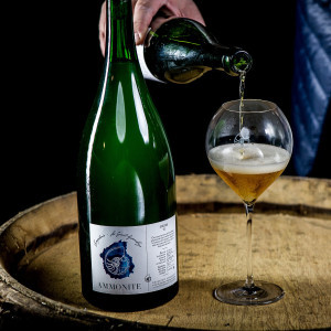 Festin d’automne & nos producteurs