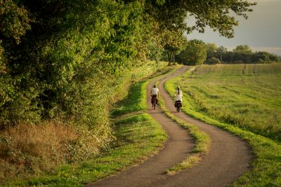 A velo sur la veloroute de la voie bressane en bordure des pres au coucher de soleil. dsl 71 robert famy guillaume