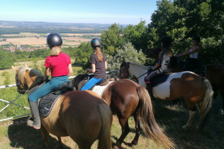 On Horseback